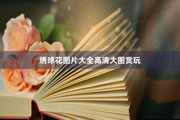绣球花图片大全高清大图赏玩