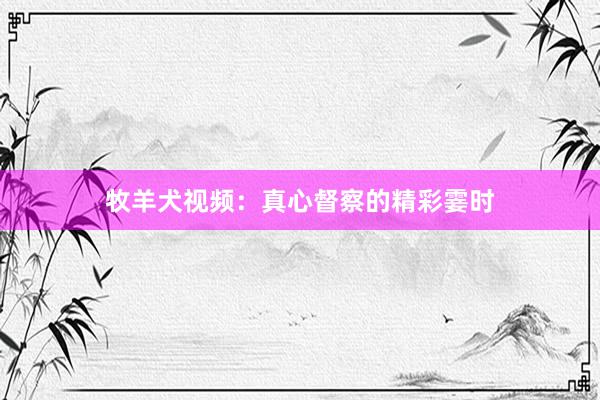 牧羊犬视频：真心督察的精彩霎时
